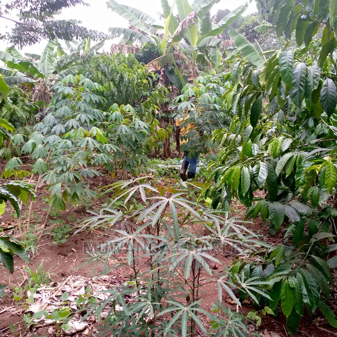 Land for Sale at Wabutungulu in Central Division