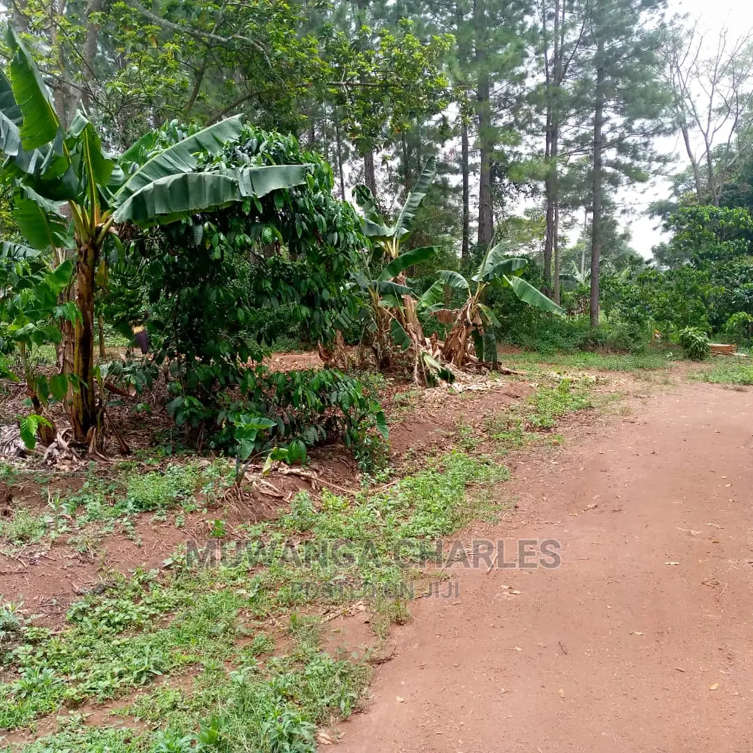 Land for Sale at Wabutungulu in Central Division