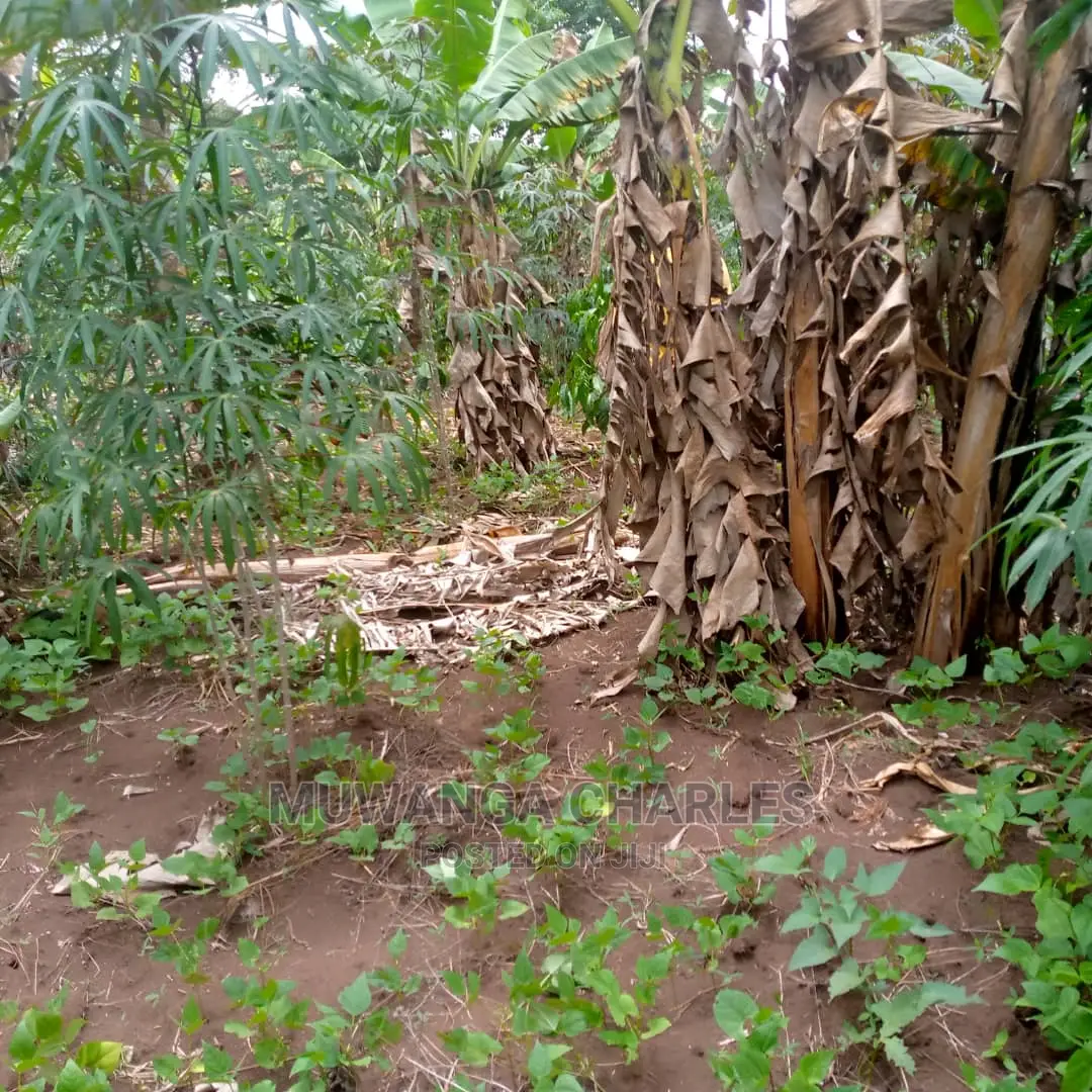 Land for Sale at Wabutungulu in Central Division