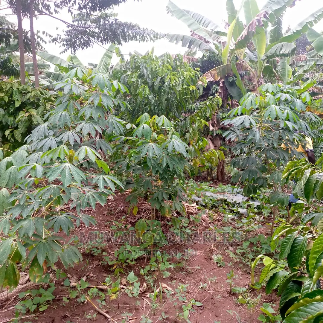 Land for Sale at Wabutungulu in Central Division