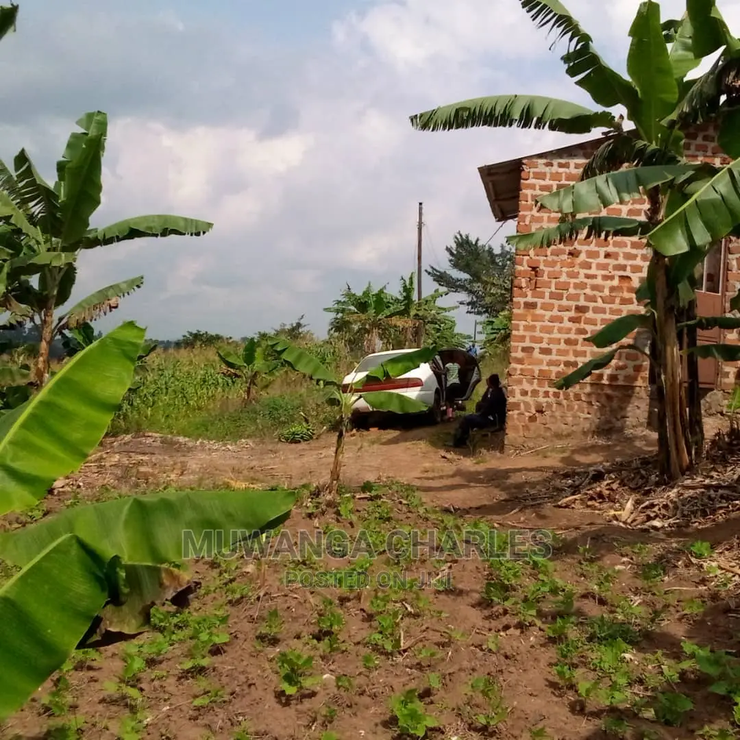 Plot of Land for Sale at Namulonge in Central Division