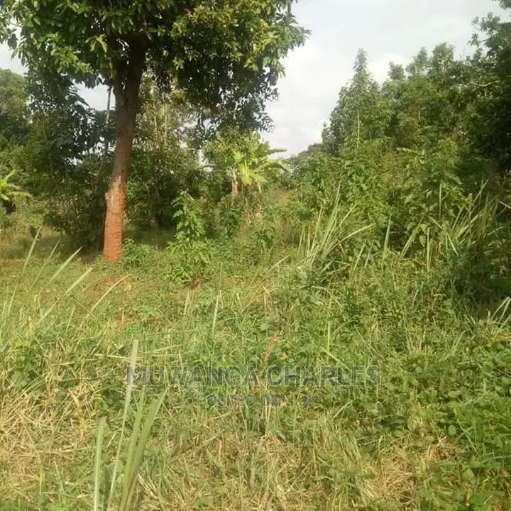 Plot of Land for Sale at Namulonge in Central Division