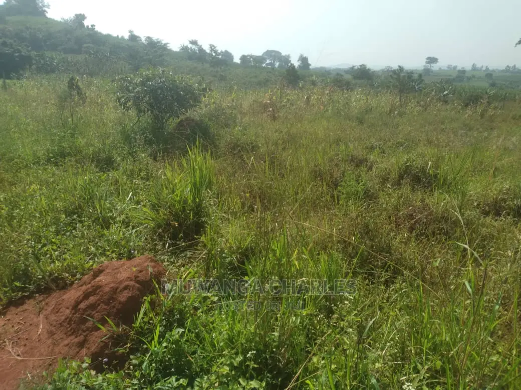 100by50ft Plot of Land for Sale at Kira Shimon in Central Division