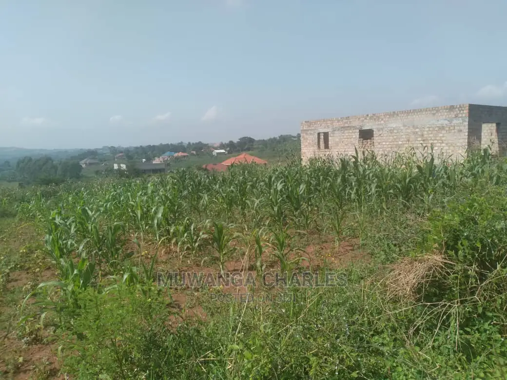 100by50ft Plot of Land for Sale at Kira Shimon in Central Division