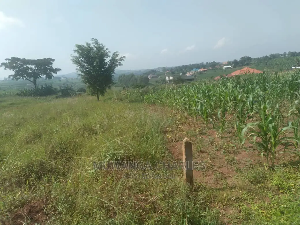 100by50ft Plot of Land for Sale at Kira Shimon in Central Division