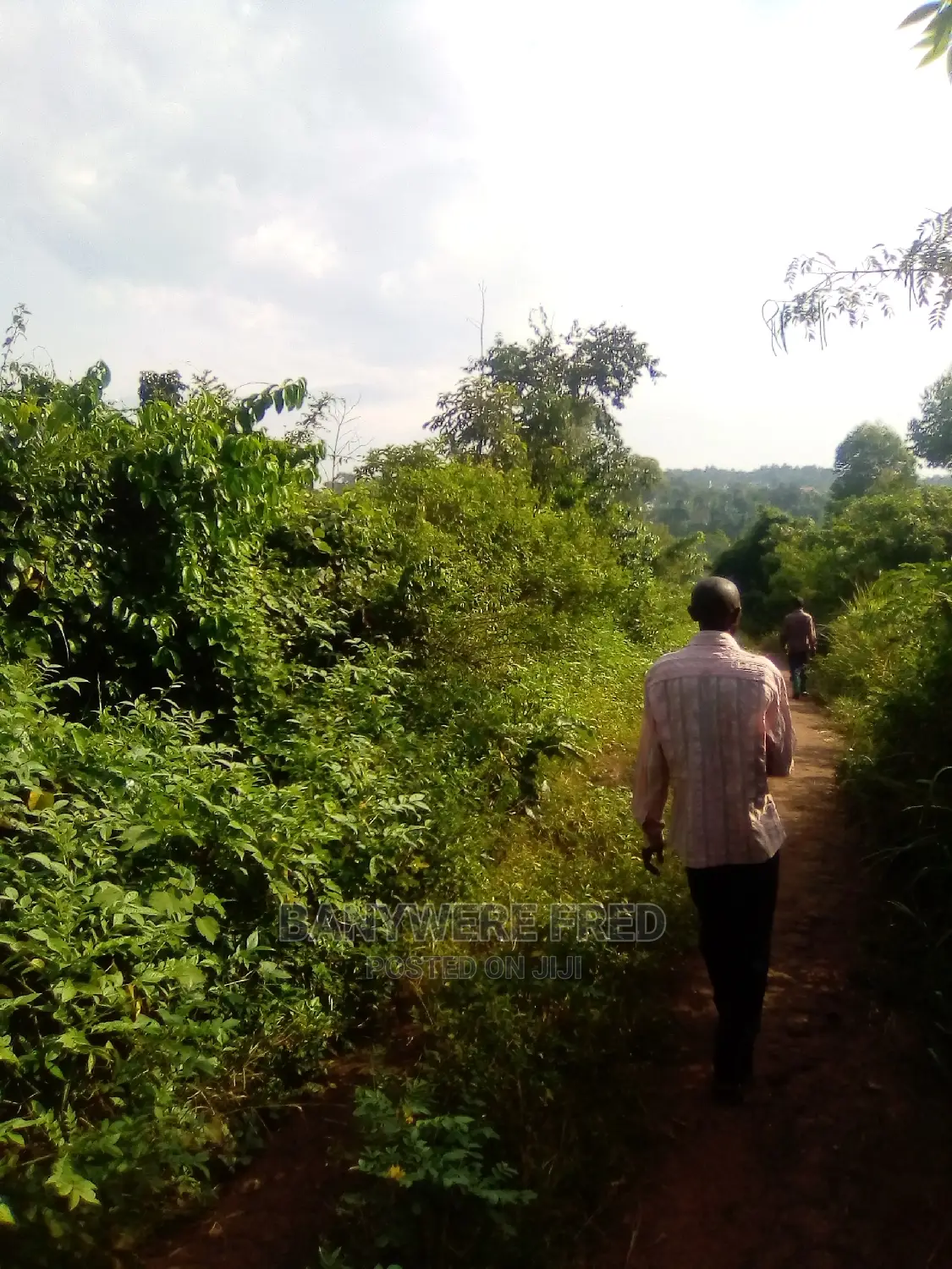 Square Mile for Sale in Kiboga District in Bukomero