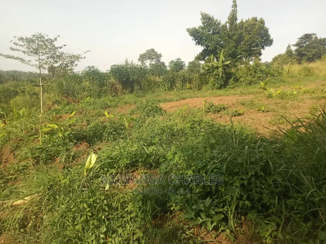 2acres for Sale at Zirobwe in Central Division