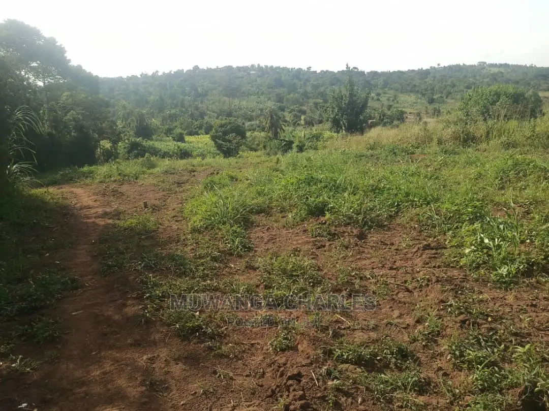 2acres for Sale at Zirobwe in Central Division