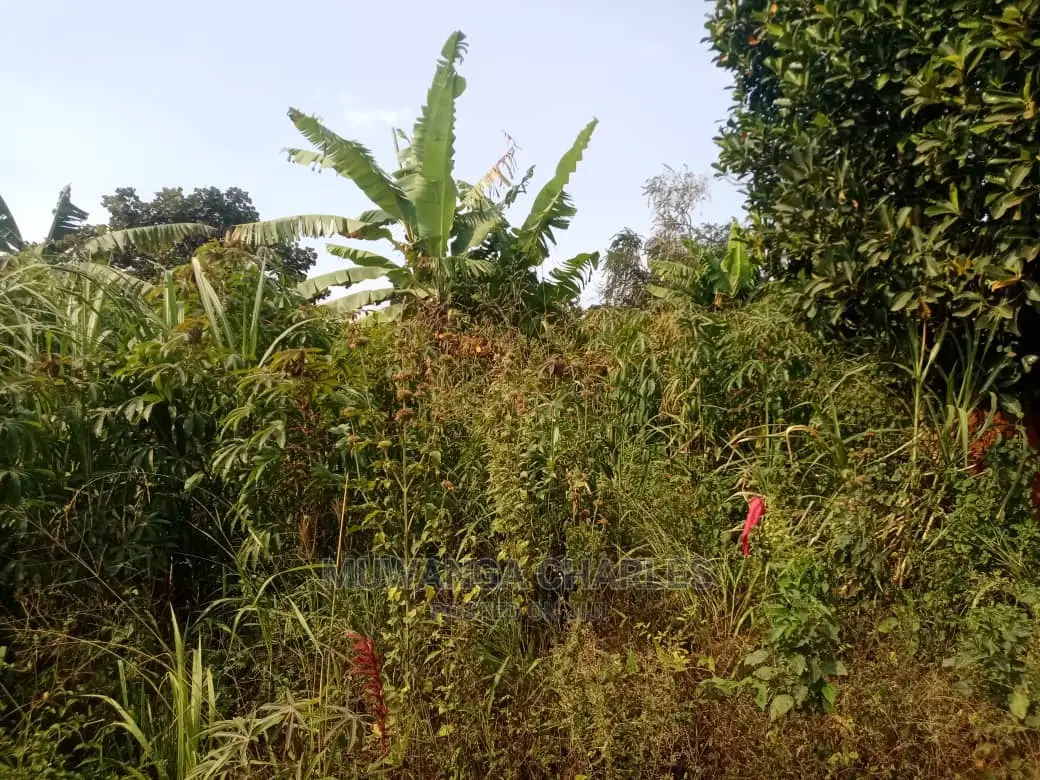 10acres for Sale at Luwero in Central Division