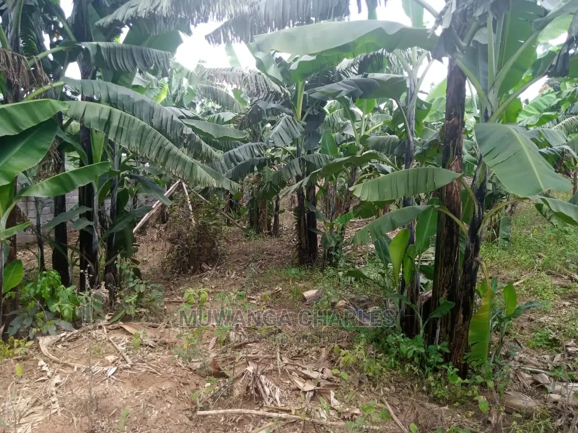 15decimals Plot of Land for Sale at Sonde Misindye in Central Division