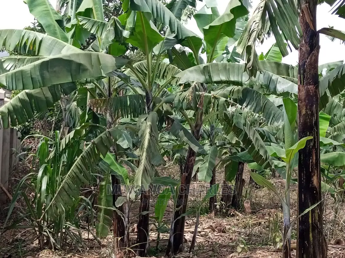 15decimals Plot of Land for Sale at Sonde Misindye in Central Division