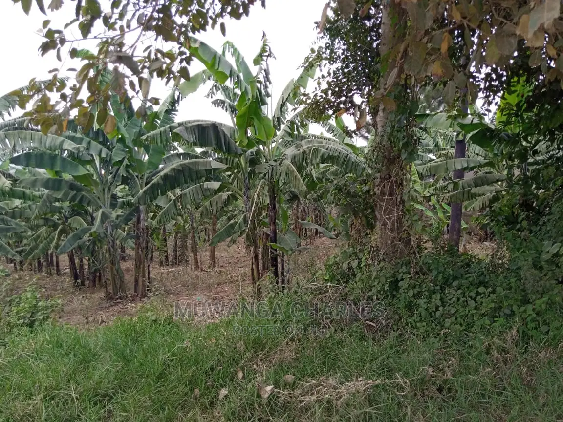 15decimals Plot of Land for Sale at Sonde Misindye in Central Division