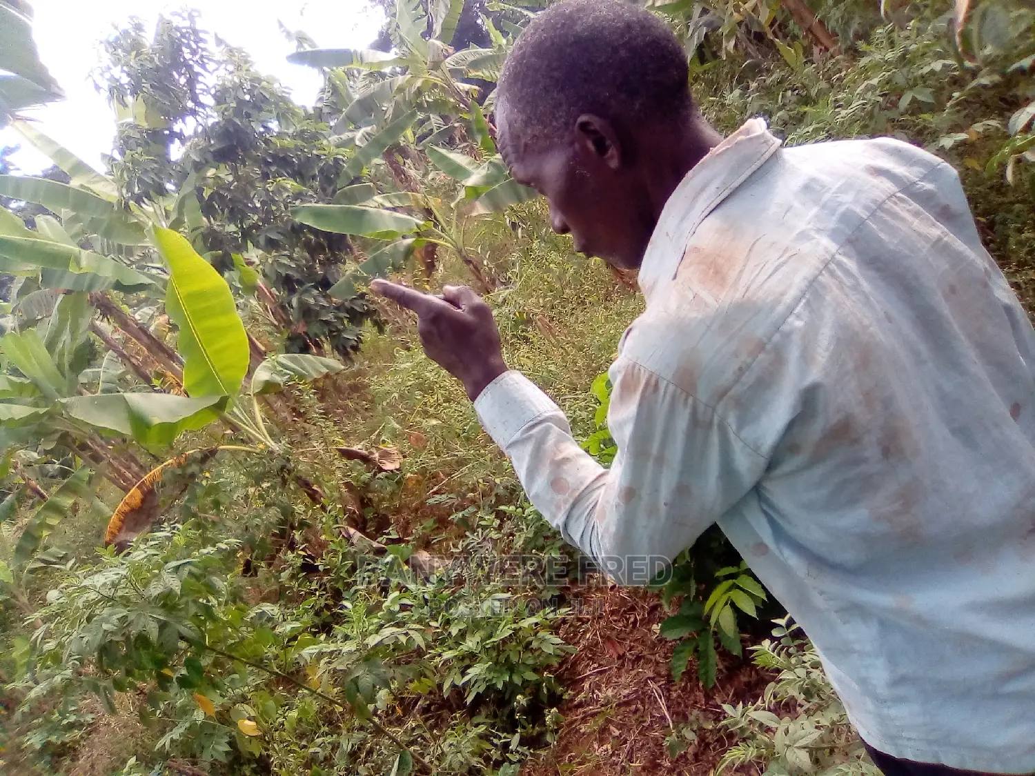 100/100 Plot for Sale in Kira Mulawa in Kira