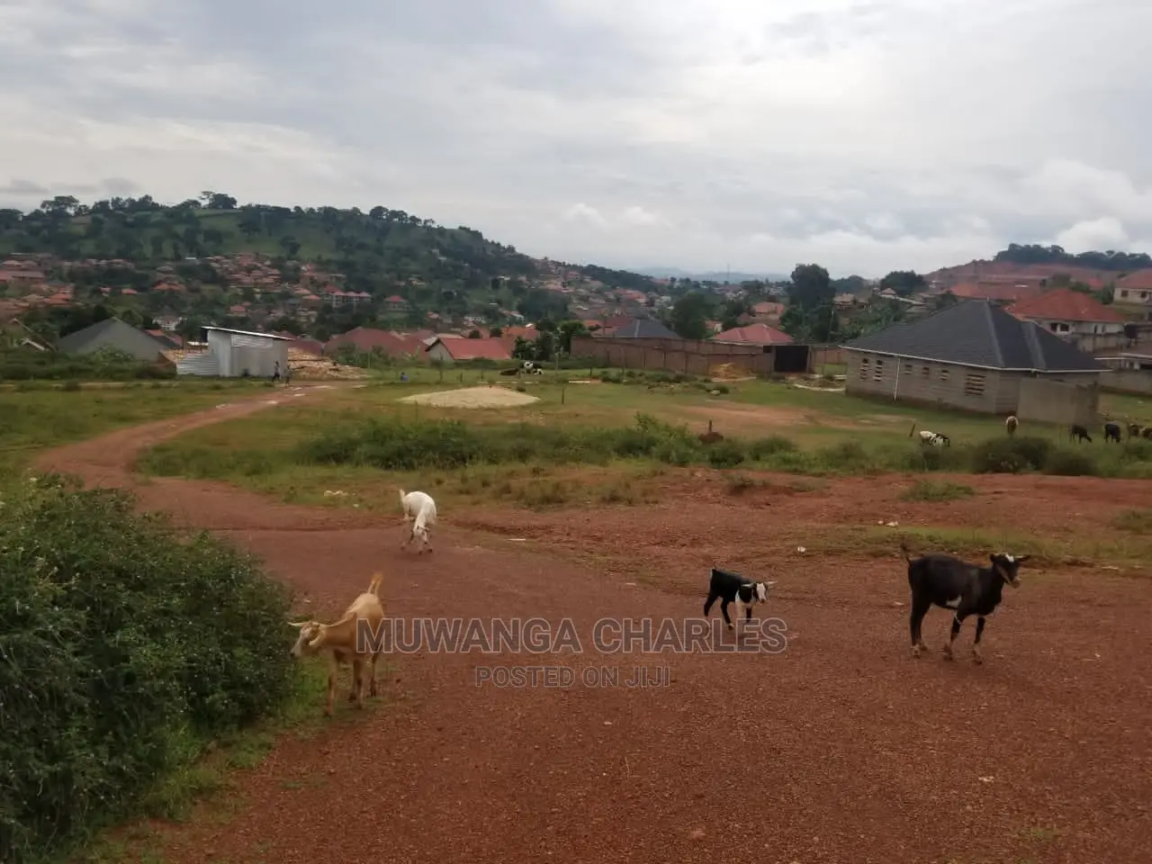 100by100ft Plot for Sale at Kira in Central Division