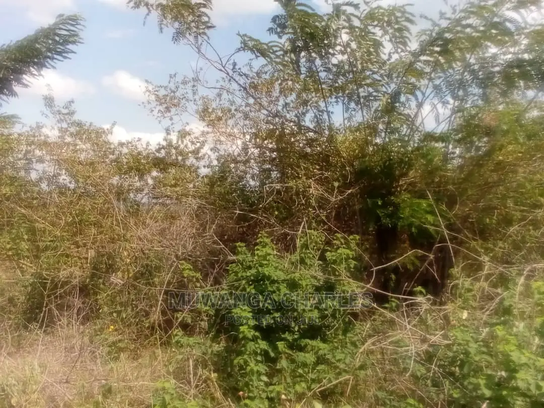 30acres of Land for Sale at Zirobwe Kikyusa in Central Division
