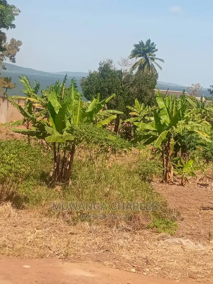 100by100ft Plot of Land for Sale and Garuga in Central Division