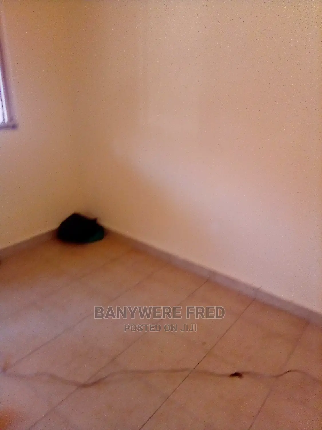 Furnished 2bdrm Bungalow in Kira for Rent in Kira