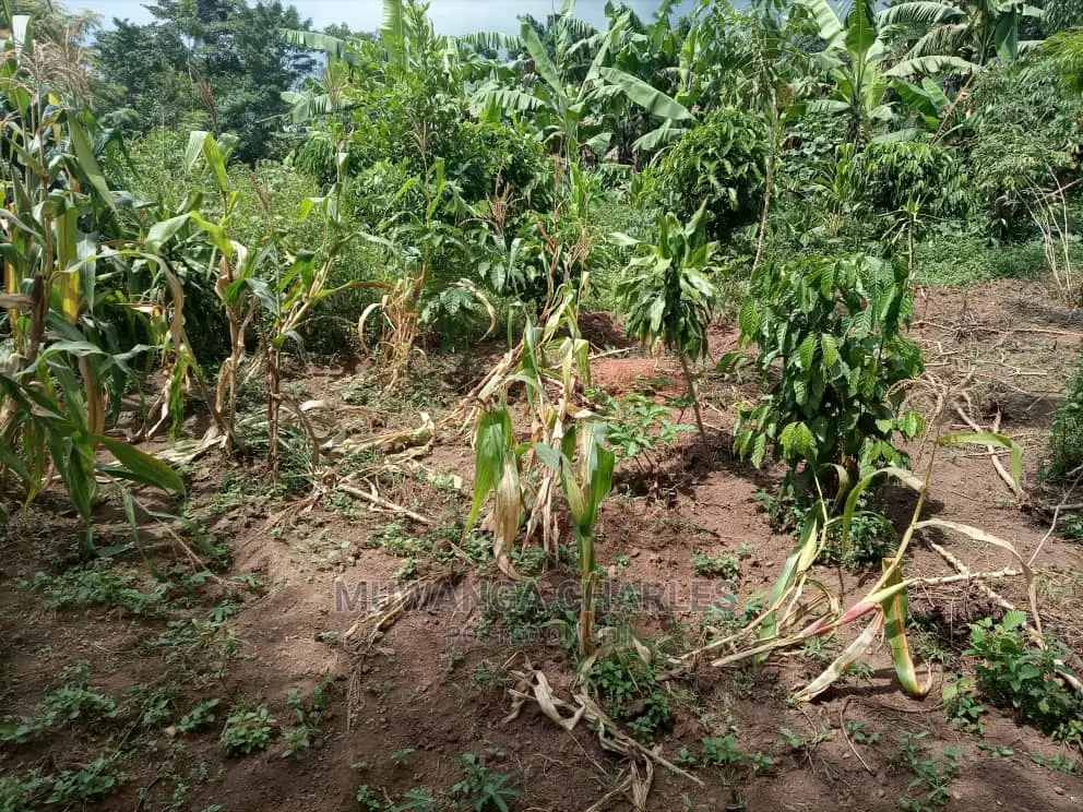 2acres of Land for Sale at Zirobwe Janda in Central Division