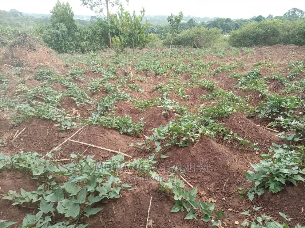 2acres of Land for Sale at Zirobwe Janda in Central Division