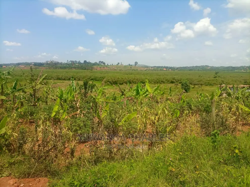 100acres of Land for Sale at Nakasongola in Central Division