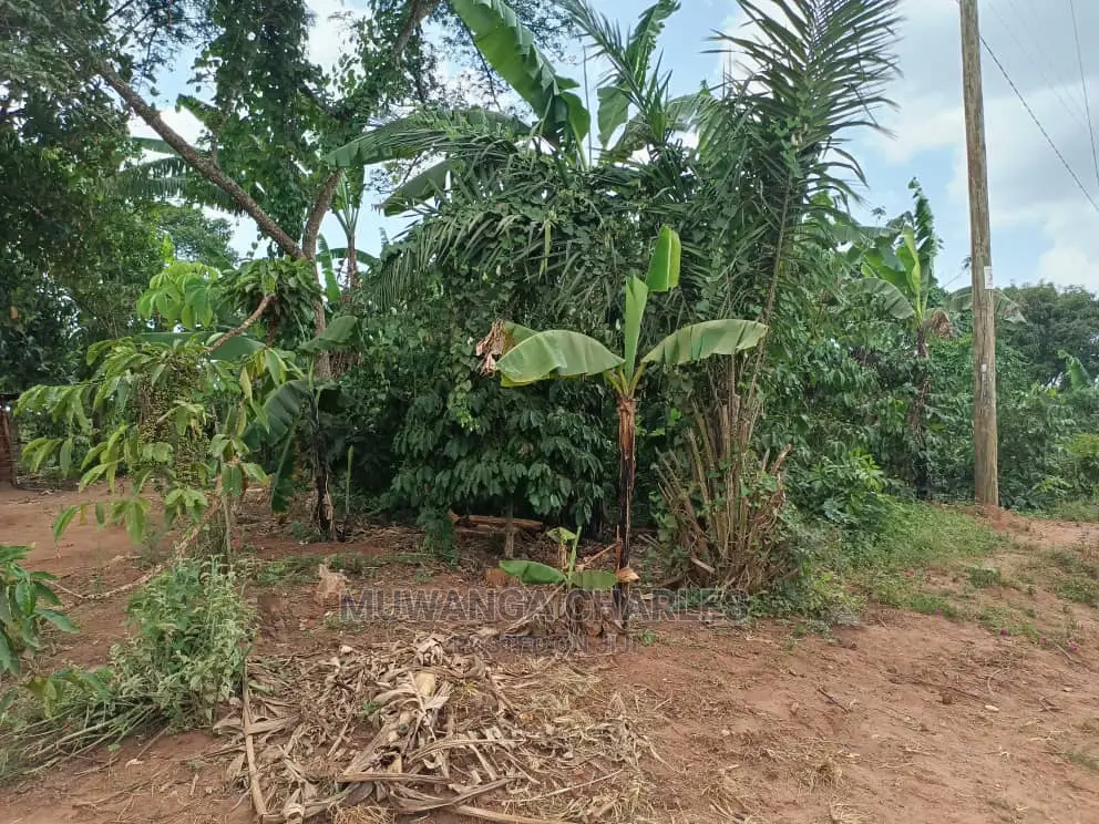 2acres for Sale at Busika in Central Division