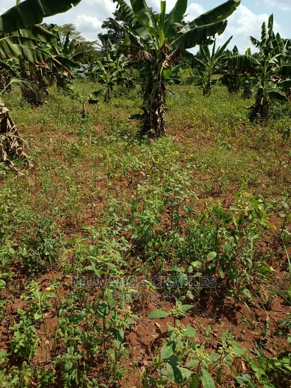 2acres for Sale at Busika in Central Division