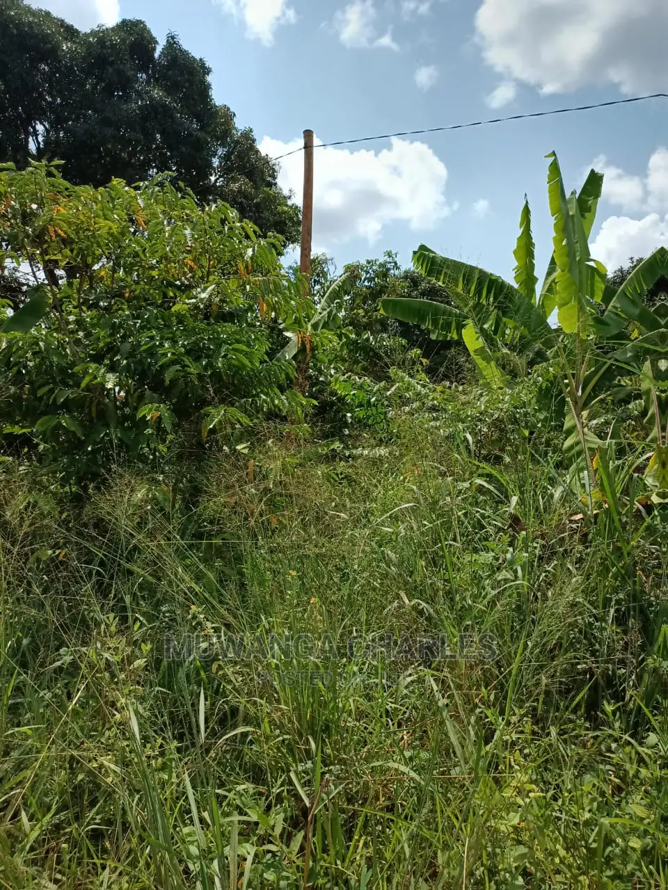 2acres for Sale at Busika in Central Division