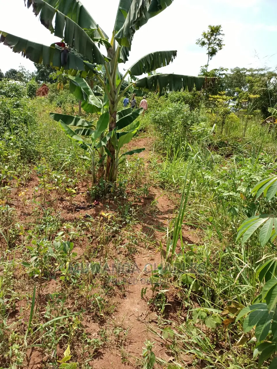 4acres of Land for Sale at Busika in Central Division