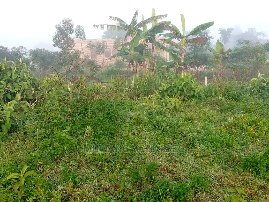 100by50ft Plot of Land for Sale at Namugongo in Central Division