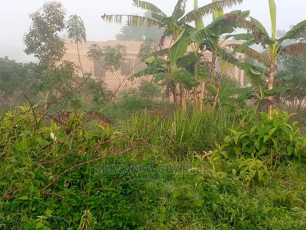 100by50ft Plot of Land for Sale at Namugongo in Central Division
