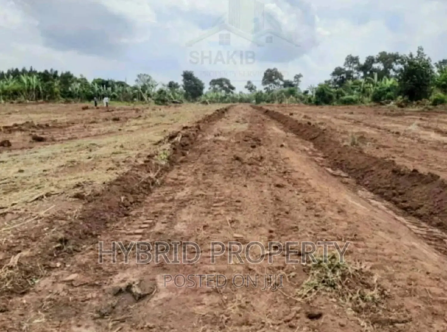 Plots for Sale at Our New Busukuma Land Estate~Gayaza Road. in Wakiso / Wakiso