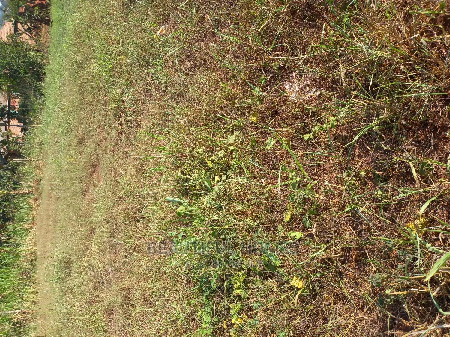 Kira Good Land for Sell in Kira