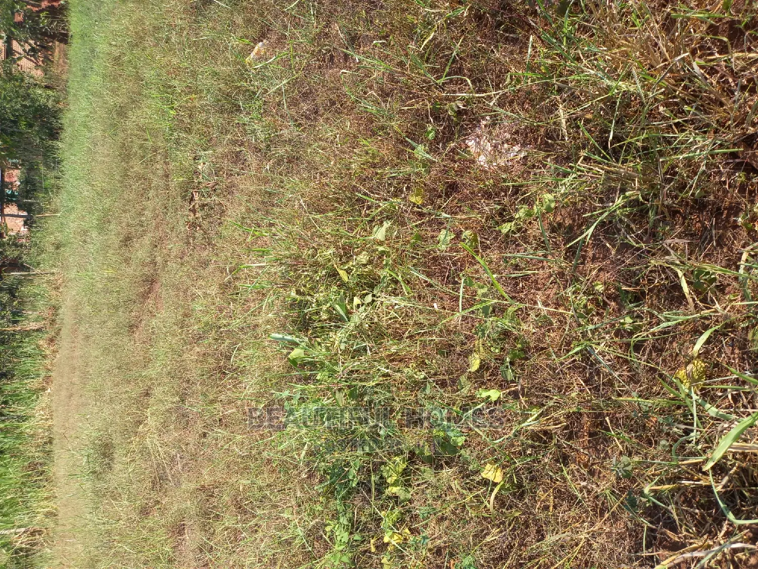 Kira Nicely Shaped Plot on Sell in Kira