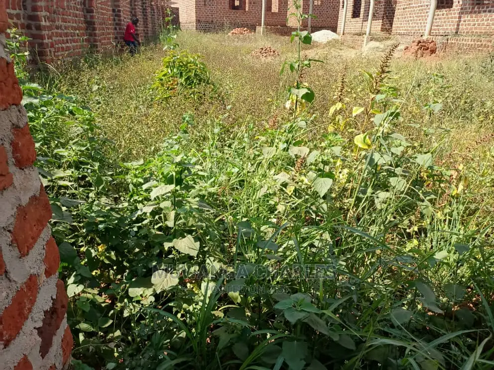 100by50ft Plot of Land for Sale at Nakwero in Central Division