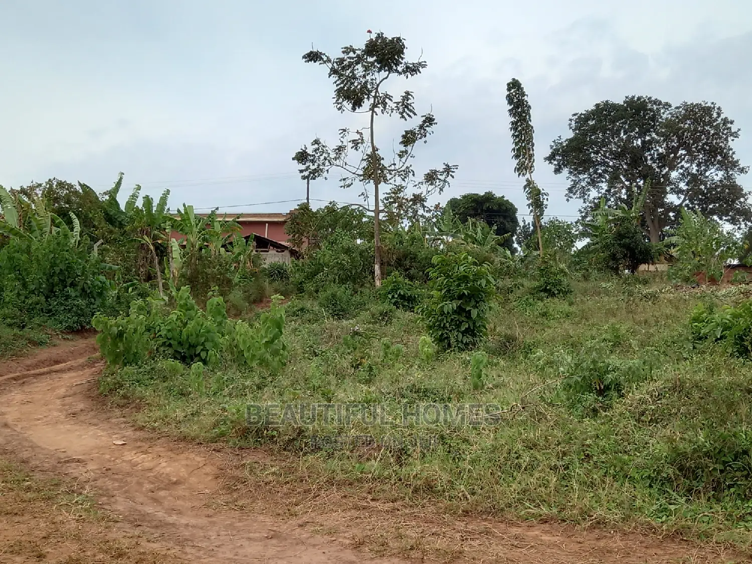 Nakwero Residential Land for Sell in Kira