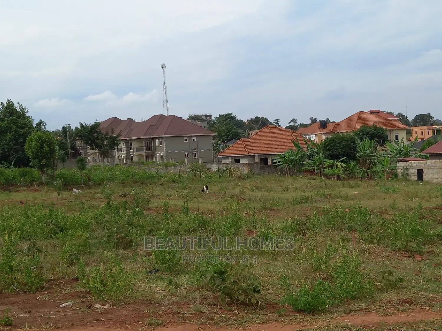Nakwero Prime Land for Sale in Kira