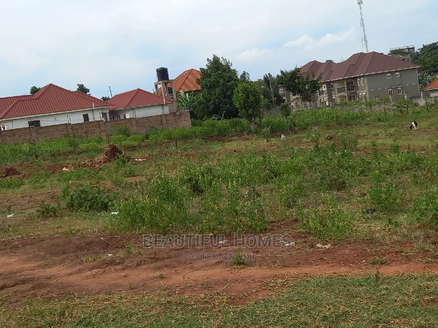 Nakwero Amazing Plot on Sale in Kira