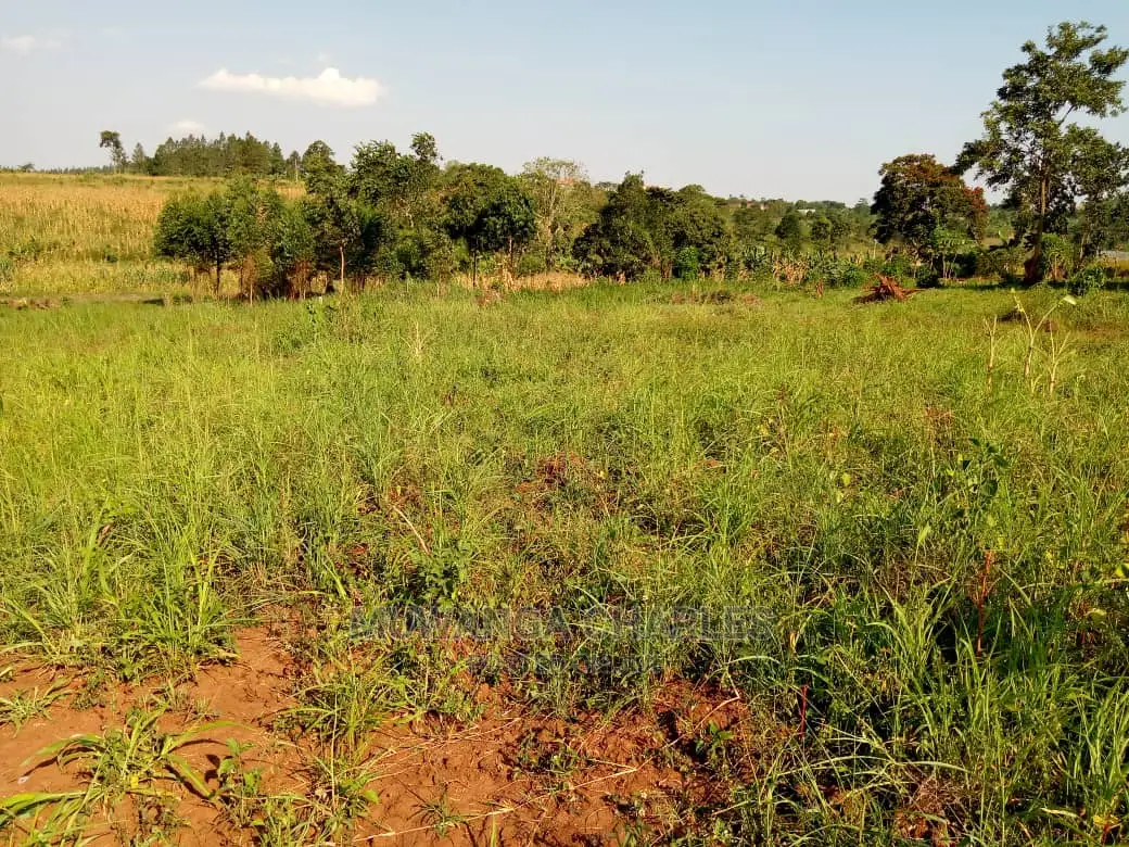 100by50ft Plot of Land for Sale Kiwenda in Central Division