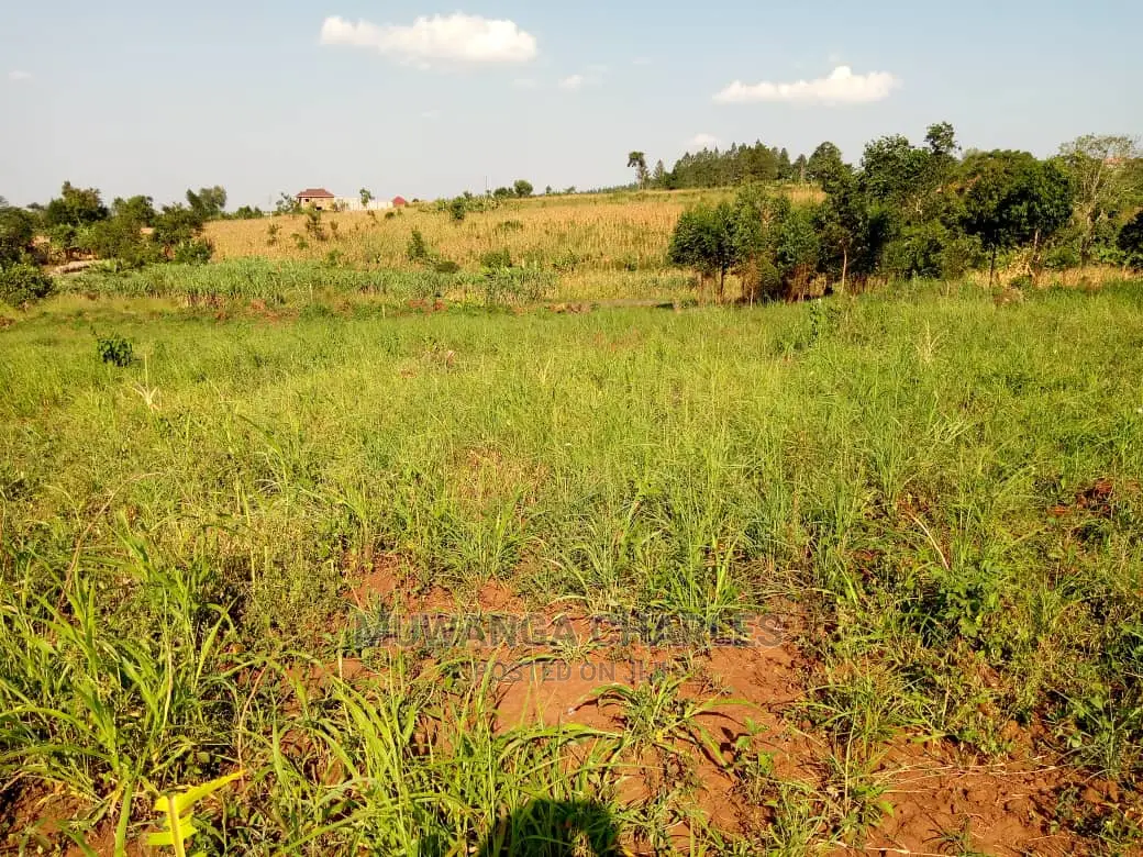 100by50ft Plot of Land for Sale Kiwenda in Central Division