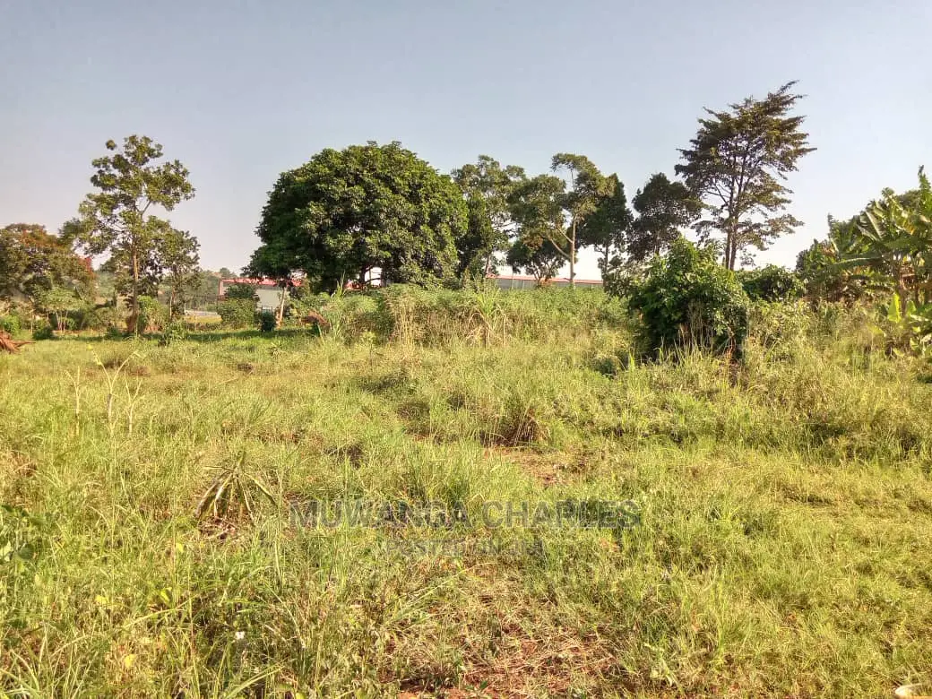 100by50ft Plot of Land for Sale Kiwenda in Central Division