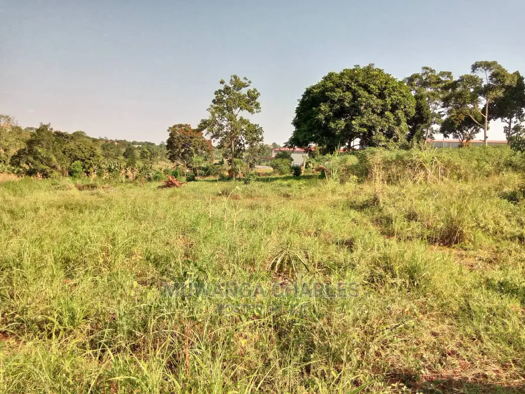 100by50ft Plot of Land for Sale Kiwenda in Central Division