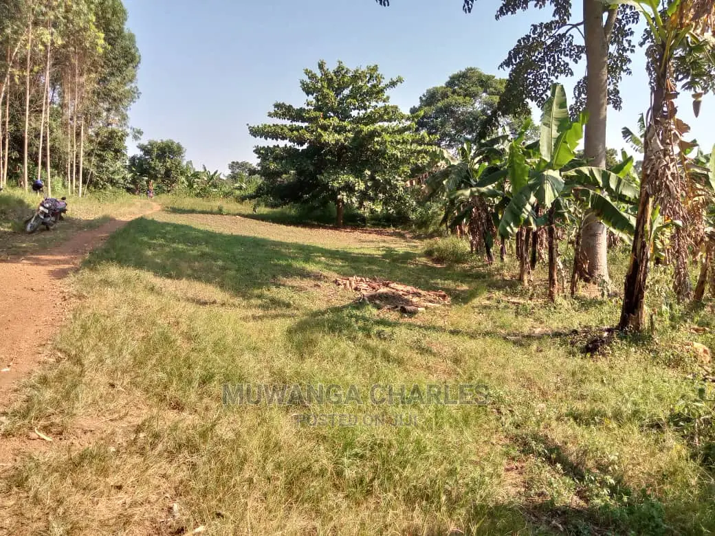 100by50ft Plot of Land for Sale Kiwenda in Central Division
