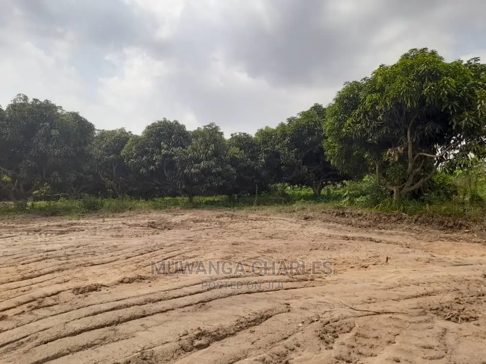 100by50ft for Sale at Kyanja Kungu in Central Division
