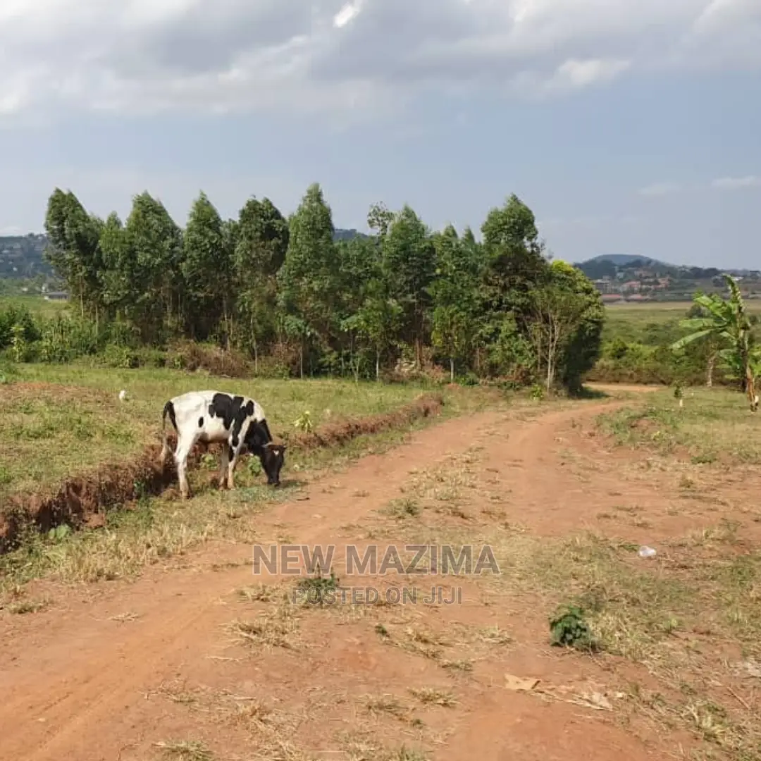 Kajjansi Nakigalala Prime Plots on Quicksale With Title in Central Division