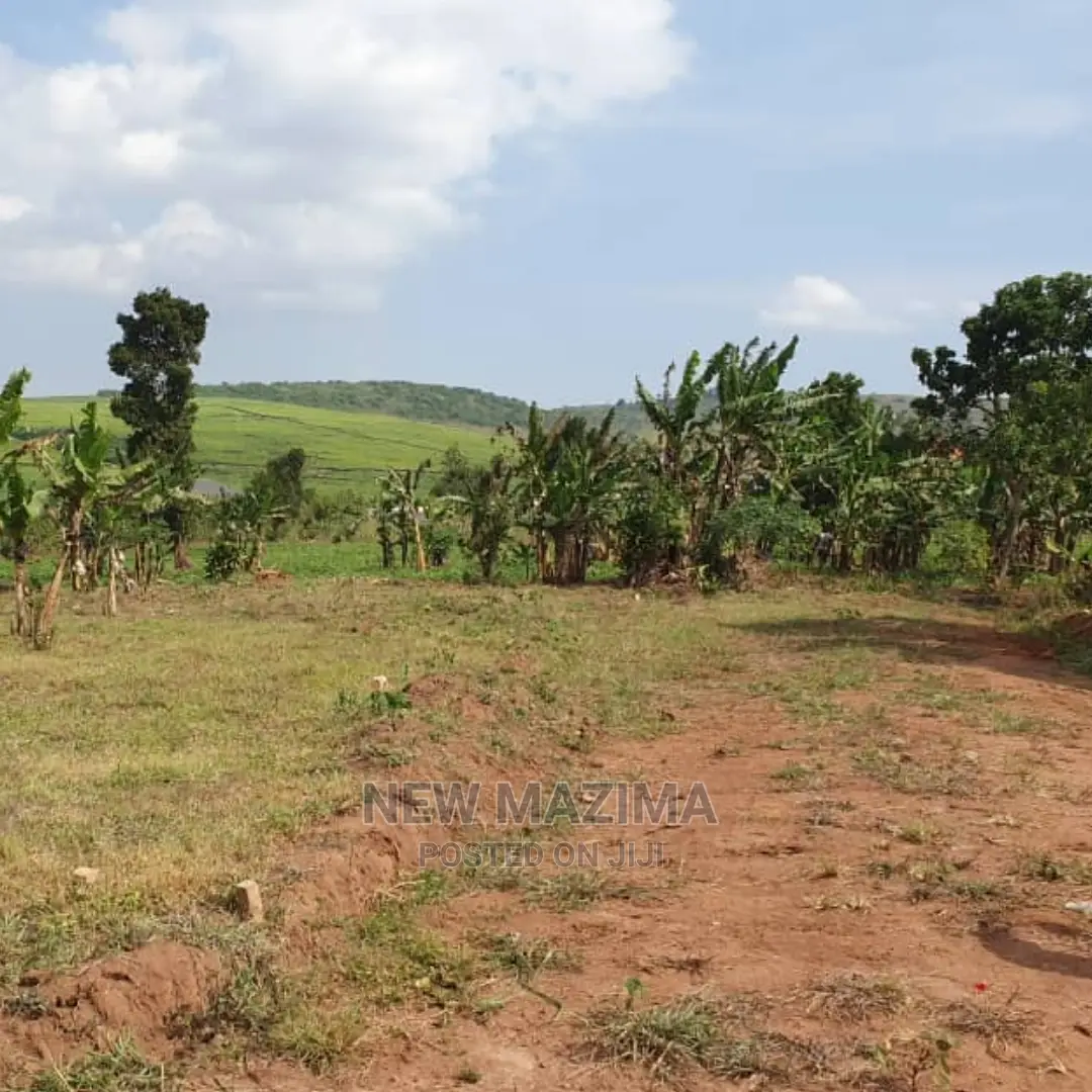 Kajjansi Ntebe Rd Nakilama Prime Plots Quicksale With Title in Central Division