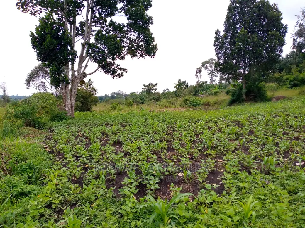10acres of Land for Sale at Mukono Kabembe in Central Division