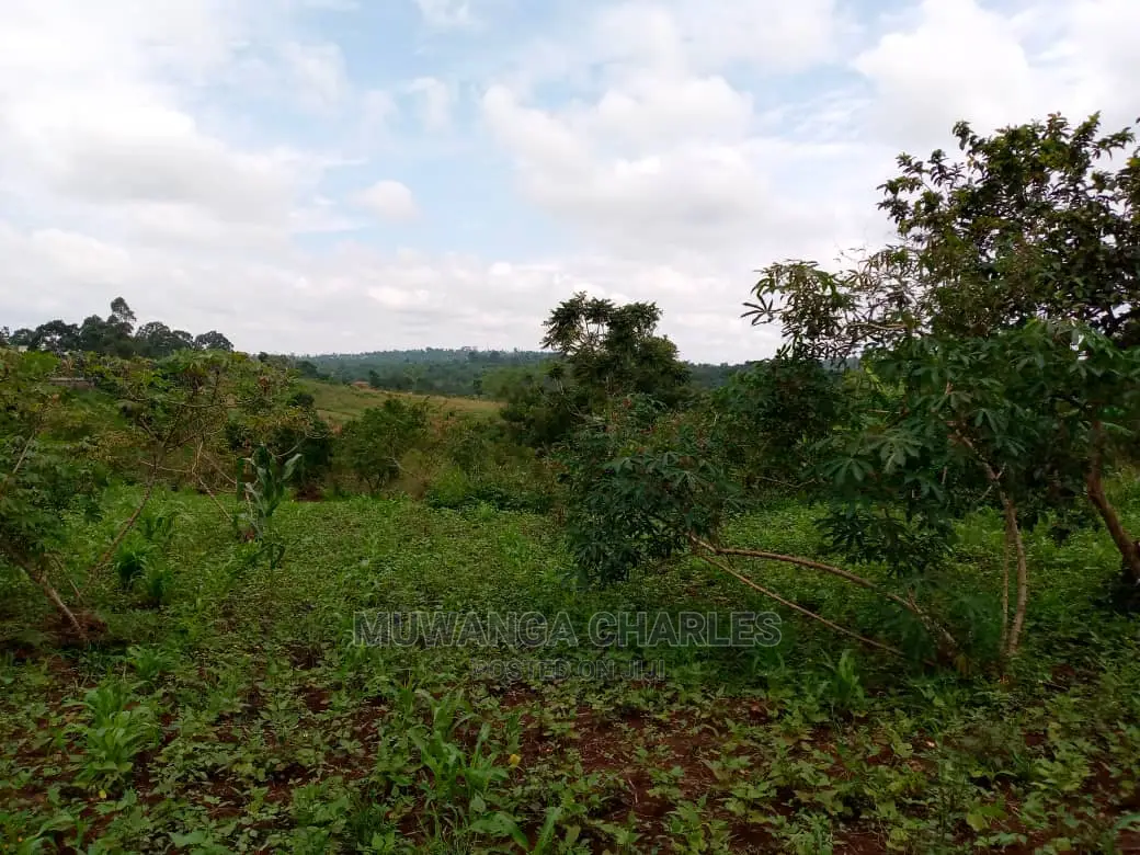 10acres of Land for Sale at Mukono Kabembe in Central Division