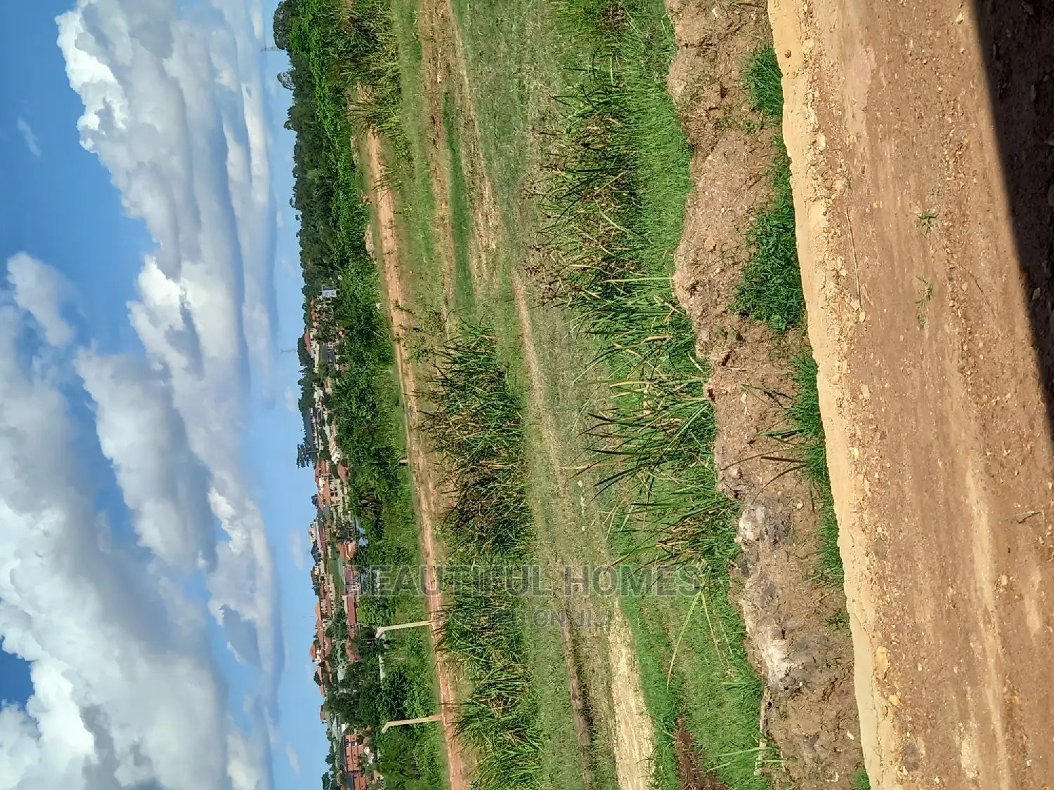 Good Land in Kira on Sell in Kira