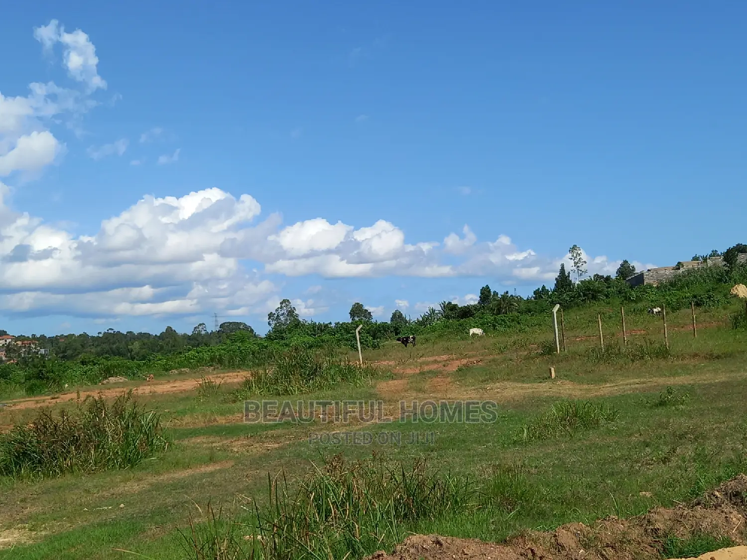 Kira Well Shaped Land for Sale in Kira