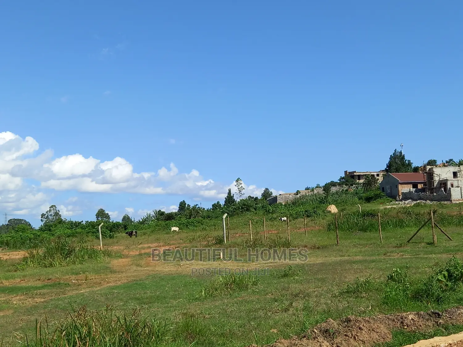Kira New Plot on Sell in Kira